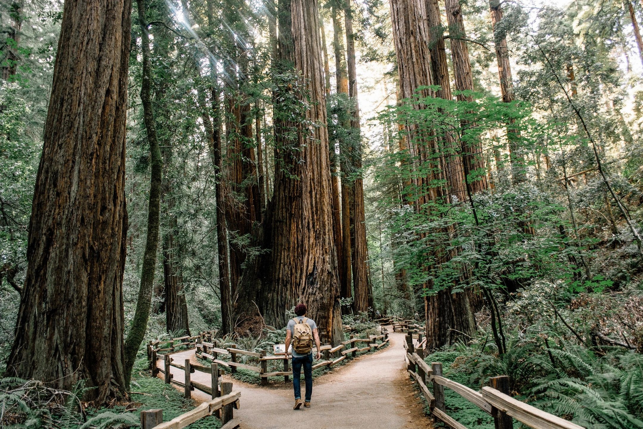 How to create an effective Customer Journey Map: Complete guide to improving User Experience